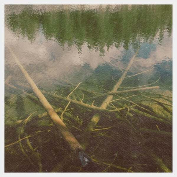 Cover art for Ghost