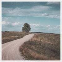 Roads I Missed